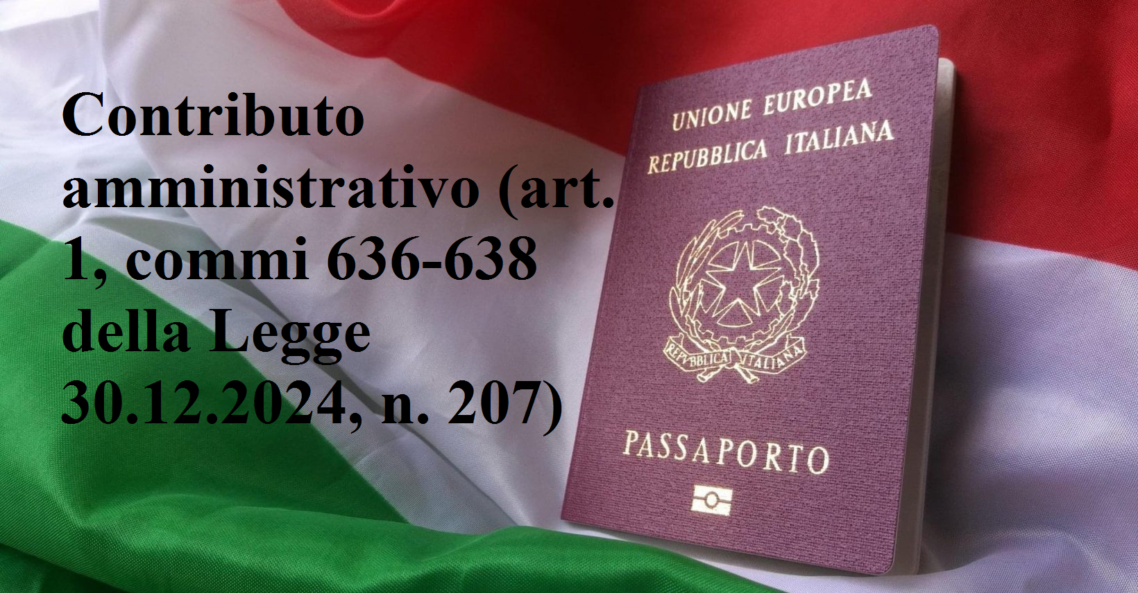CONTRIBUTO CITTADINANZA